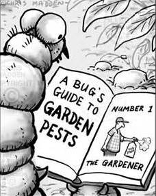 garden-pest-cartoon