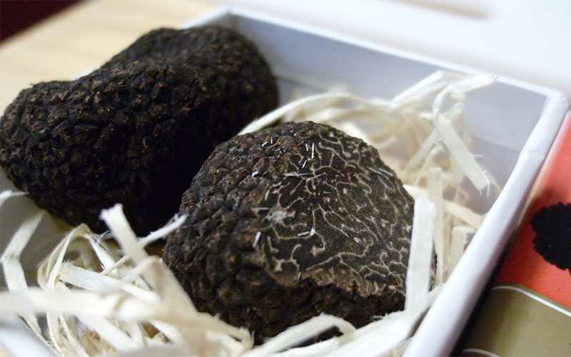 how-to-store-fresh-black-truffles