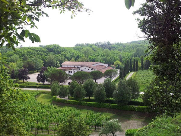 bcollio-and-more-428