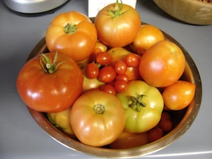 compost-bin-tomatoes-001