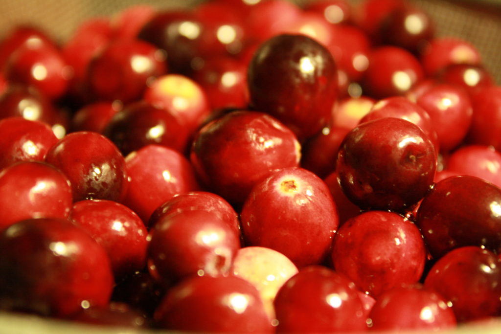 freshly-washed-whole-cranberries