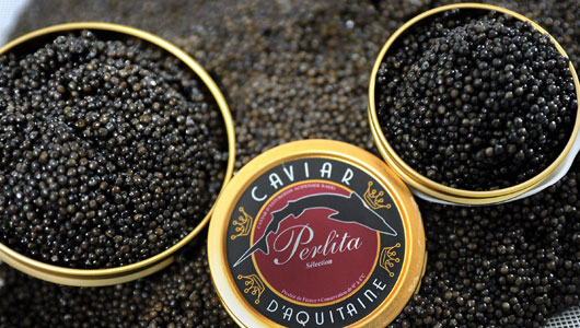 main_caviar